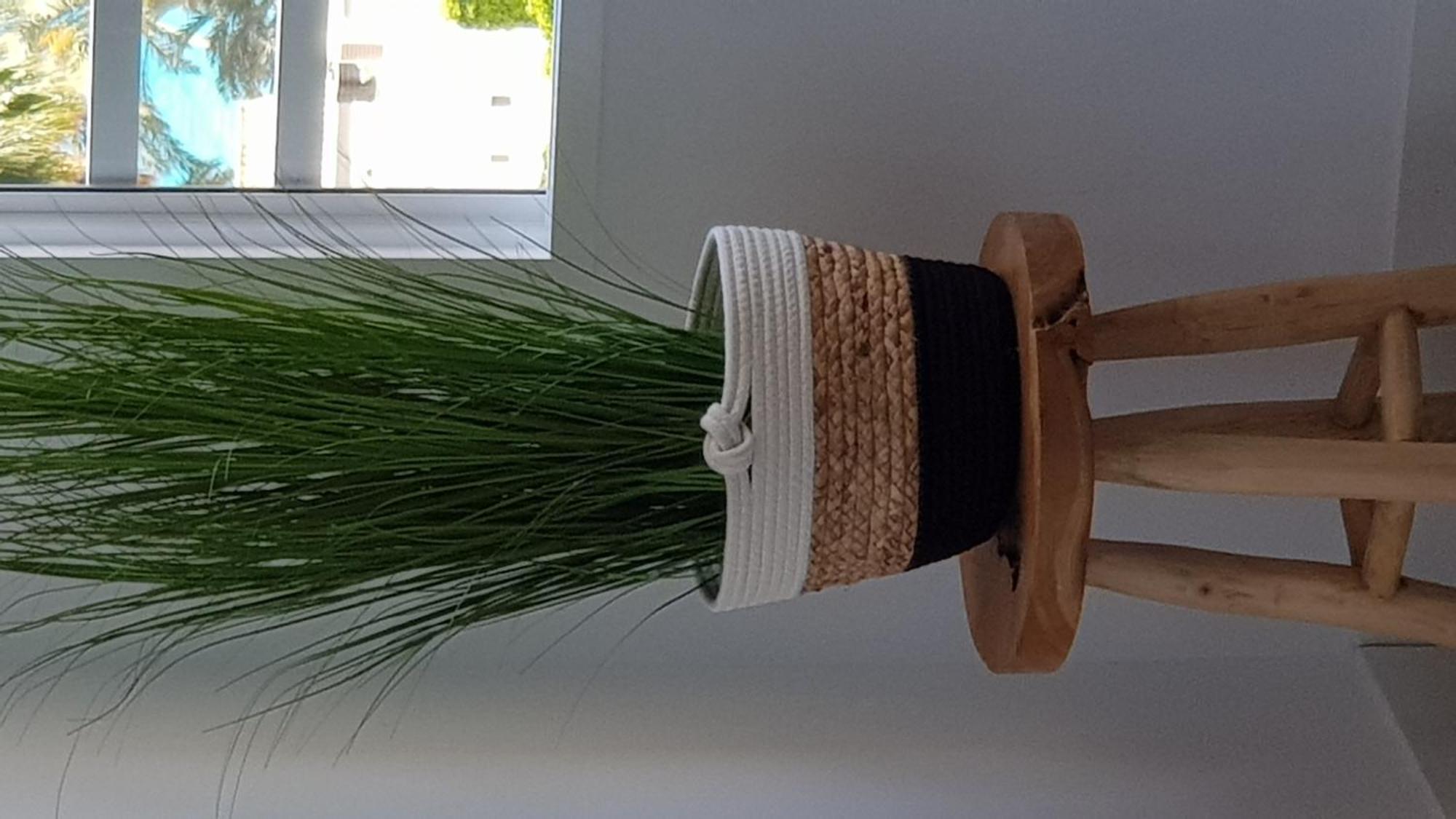 Sol Mediterraneo Palm 5 Apartment *