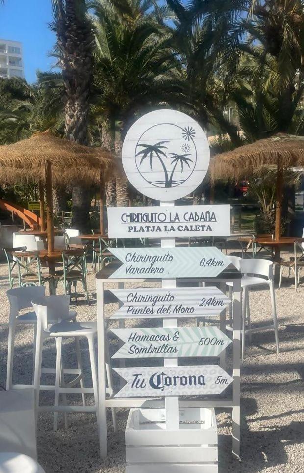 Sol Mediterraneo Palm 5